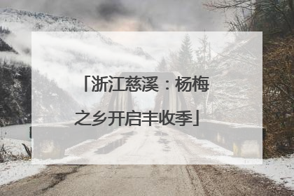 浙江慈溪：杨梅之乡开启丰收季