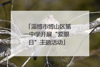 淄博市博山区第一中学开展“爱眼日”主题活动