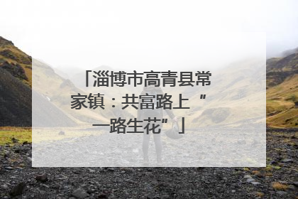 淄博市高青县常家镇：共富路上“一路生花”