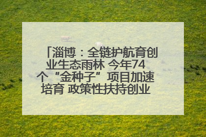 淄博：全链护航育创业生态雨林 今年74个“金种子”项目加速培育 政策性扶持创业9754人