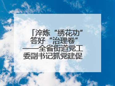 淬炼“绣花功” 答好“治理卷”——全省街道党工委副书记抓党建促基层治理培训示范班侧记