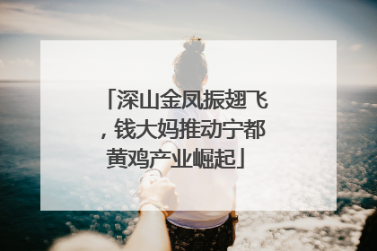 深山金凤振翅飞，钱大妈推动宁都黄鸡产业崛起