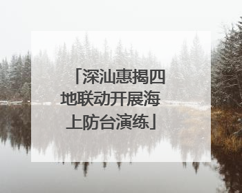 深汕惠揭四地联动开展海上防台演练