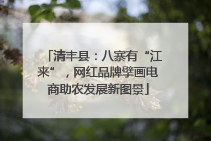 清丰县：八寨有“江来”，网红品牌擘画电商助农发展新图景