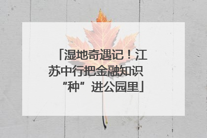 湿地奇遇记！江苏中行把金融知识“种”进公园里