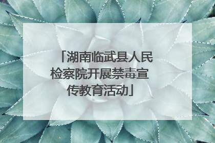 湖南临武县人民检察院开展禁毒宣传教育活动