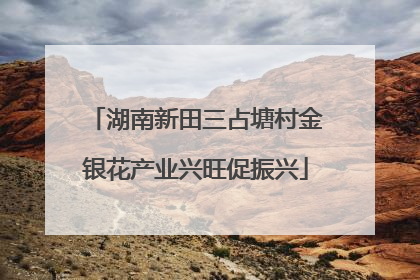 湖南新田三占塘村金银花产业兴旺促振兴