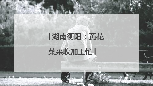 湖南衡阳：黄花菜采收加工忙