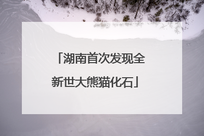 湖南首次发现全新世大熊猫化石