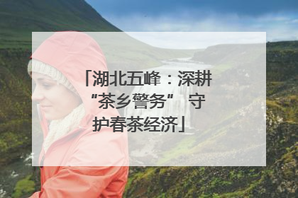 湖北五峰：深耕“茶乡警务” 守护春茶经济