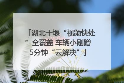 湖北十堰“视频快处”全覆盖 车辆小剐蹭5分钟“云解决”