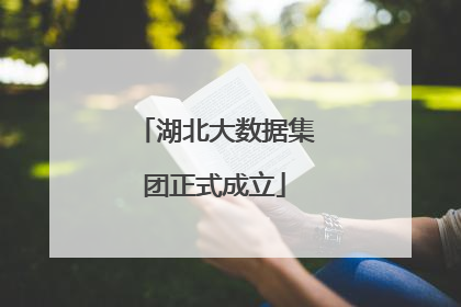 湖北大数据集团正式成立