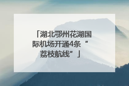 湖北鄂州花湖国际机场开通4条“荔枝航线”