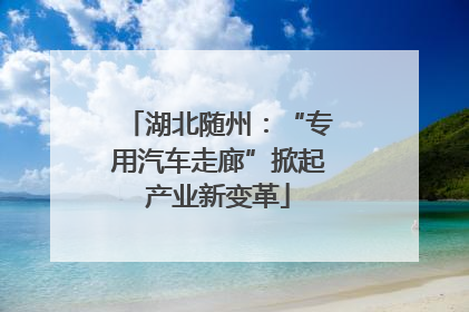 湖北随州：“专用汽车走廊”掀起产业新变革