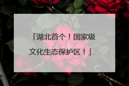 湖北首个！国家级文化生态保护区！