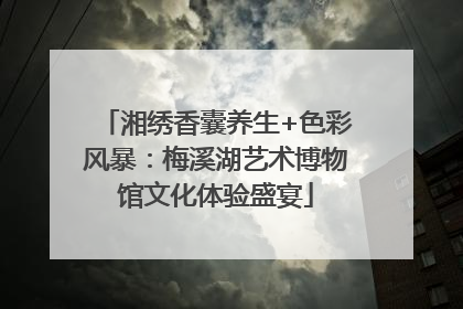 湘绣香囊养生+色彩风暴：梅溪湖艺术博物馆文化体验盛宴