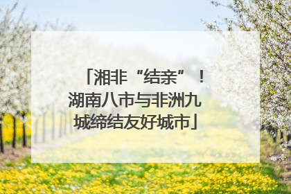 湘非“结亲”！湖南八市与非洲九城缔结友好城市
