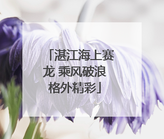 湛江海上赛龙 乘风破浪格外精彩