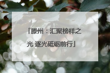 滕州：汇聚榜样之光 逐光砥砺前行