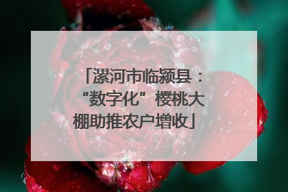 漯河市临颍县：“数字化”樱桃大棚助推农户增收