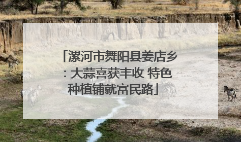 漯河市舞阳县姜店乡：大蒜喜获丰收 特色种植铺就富民路