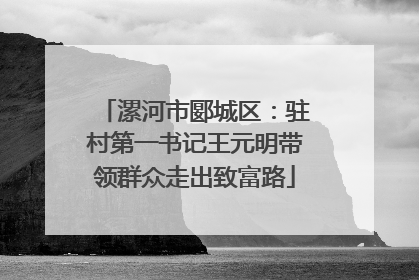 漯河市郾城区：驻村第一书记王元明带领群众走出致富路