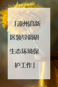 漳州高新区领导调研生态环境保护工作