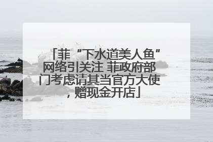 菲“下水道美人鱼”网络引关注 菲政府部门考虑请其当官方大使，赠现金开店