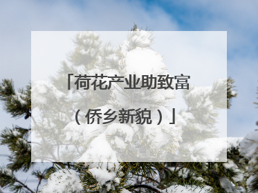 荷花产业助致富（侨乡新貌）