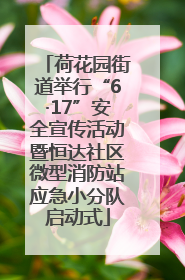 荷花园街道举行“6·17”安全宣传活动暨恒达社区微型消防站应急小分队启动式