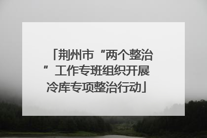 荆州市“两个整治”工作专班组织开展冷库专项整治行动