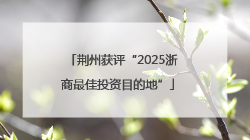 荆州获评“2025浙商最佳投资目的地”