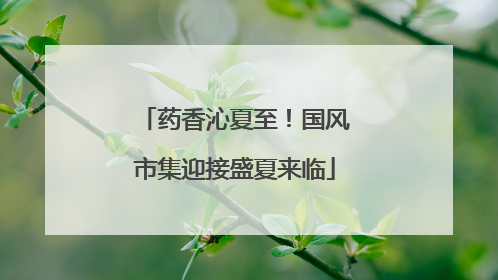 药香沁夏至！国风市集迎接盛夏来临