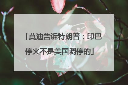 莫迪告诉特朗普：印巴停火不是美国调停的