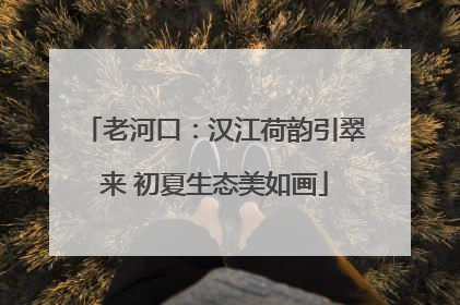 老河口：汉江荷韵引翠来 初夏生态美如画