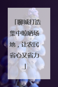聊城打造集中晾晒场地，让农民省心又省力