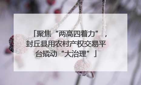 聚焦“两高四着力”，封丘县用农村产权交易平台撬动“大治理”