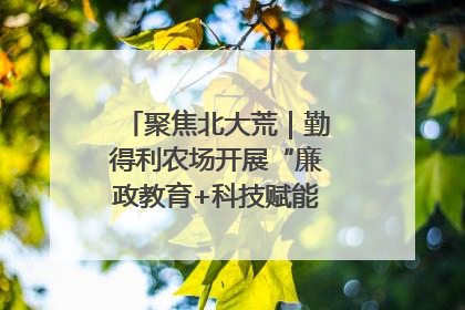 聚焦北大荒｜勤得利农场开展“廉政教育+科技赋能”主题党日活动