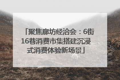 聚焦廊坊经洽会：6街16巷消费市集搭建沉浸式消费体验新场景