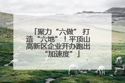 聚力“六做” 打造“六地”!平顶山高新区企业开办跑出“加速度”