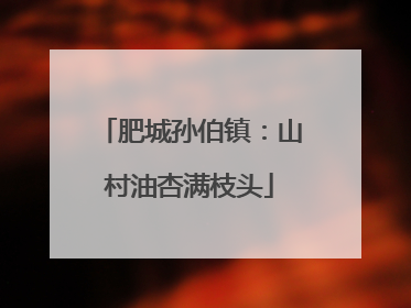肥城孙伯镇：山村油杏满枝头