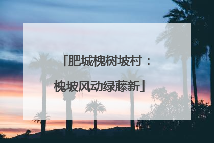 肥城槐树坡村：槐坡风动绿藤新