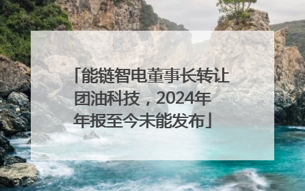 能链智电董事长转让团油科技，2024年年报至今未能发布