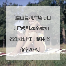 腊山复利广场项目：已吸引20余家知名企业进驻，整体招商率70%