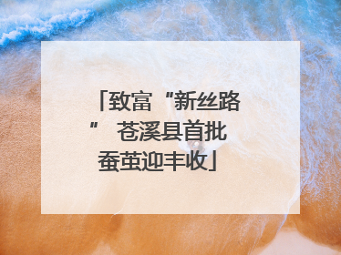 致富“新丝路” 苍溪县首批蚕茧迎丰收