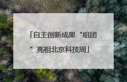 自主创新成果“组团”亮相北京科技周
