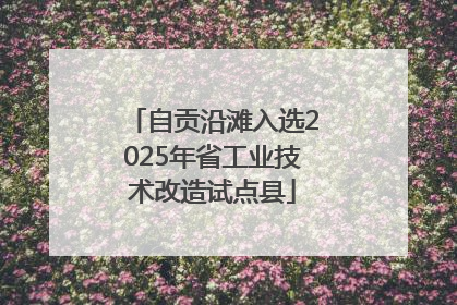 自贡沿滩入选2025年省工业技术改造试点县