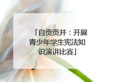 自贡贡井：开展青少年学生宪法知识演讲比赛