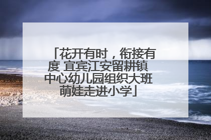 花开有时，衔接有度 宜宾江安留耕镇中心幼儿园组织大班萌娃走进小学