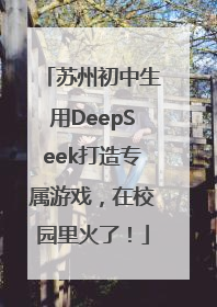 苏州初中生用DeepSeek打造专属游戏，在校园里火了！
